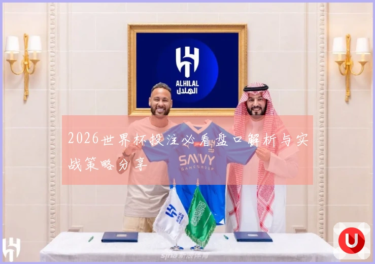 2026世界杯投注必看盘口解析与实战策略分享