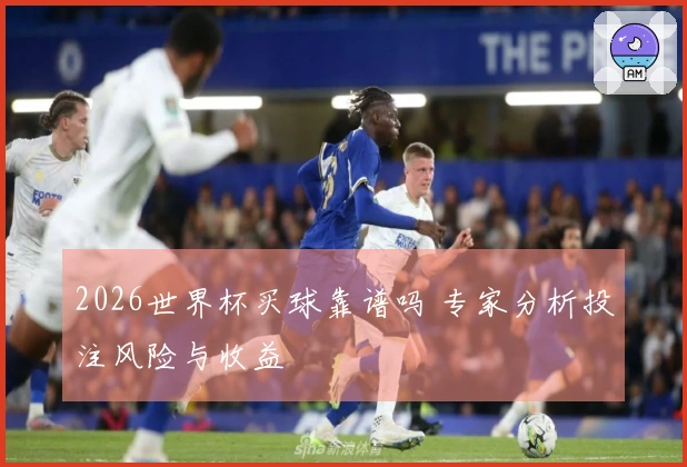 2026世界杯买球靠谱吗 专家分析投注风险与收益