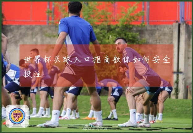 世界杯买球入口指南教你如何安全投注