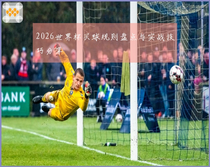 2026世界杯买球规则盘点与实战技巧分享