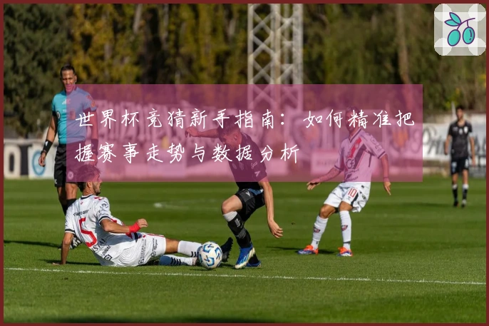 世界杯竞猜新手指南：如何精准把握赛事走势与数据分析