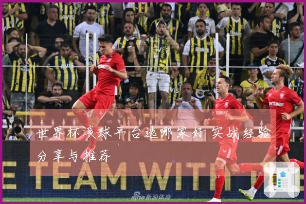 世界杯滚球平台选哪家好 实战经验分享与推荐
