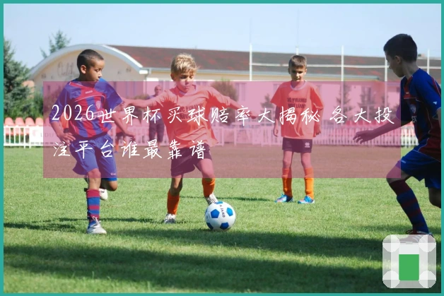2026世界杯买球赔率大揭秘 各大投注平台谁最靠谱