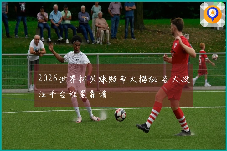 2026世界杯买球赔率大揭秘 各大投注平台谁最靠谱