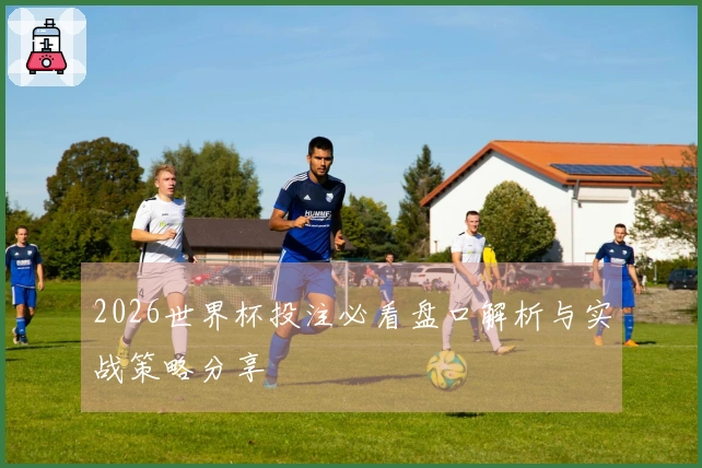 2026世界杯投注必看盘口解析与实战策略分享