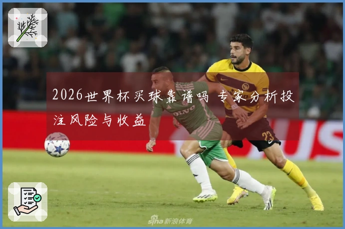 2026世界杯买球靠谱吗 专家分析投注风险与收益